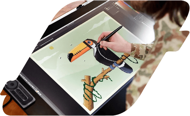 Logo and Illustration 